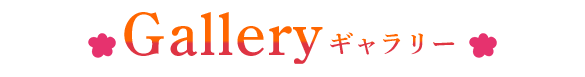 ギャラリー