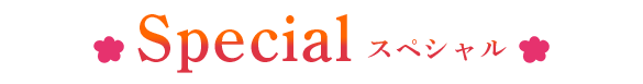 スペシャル